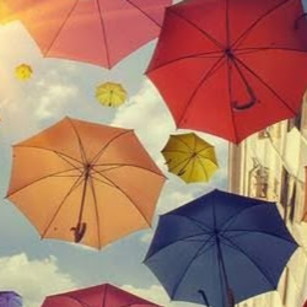 Meet your Posher, Aubree